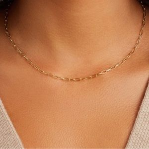 🤎GORJANA PARKER MINI NECKLACE